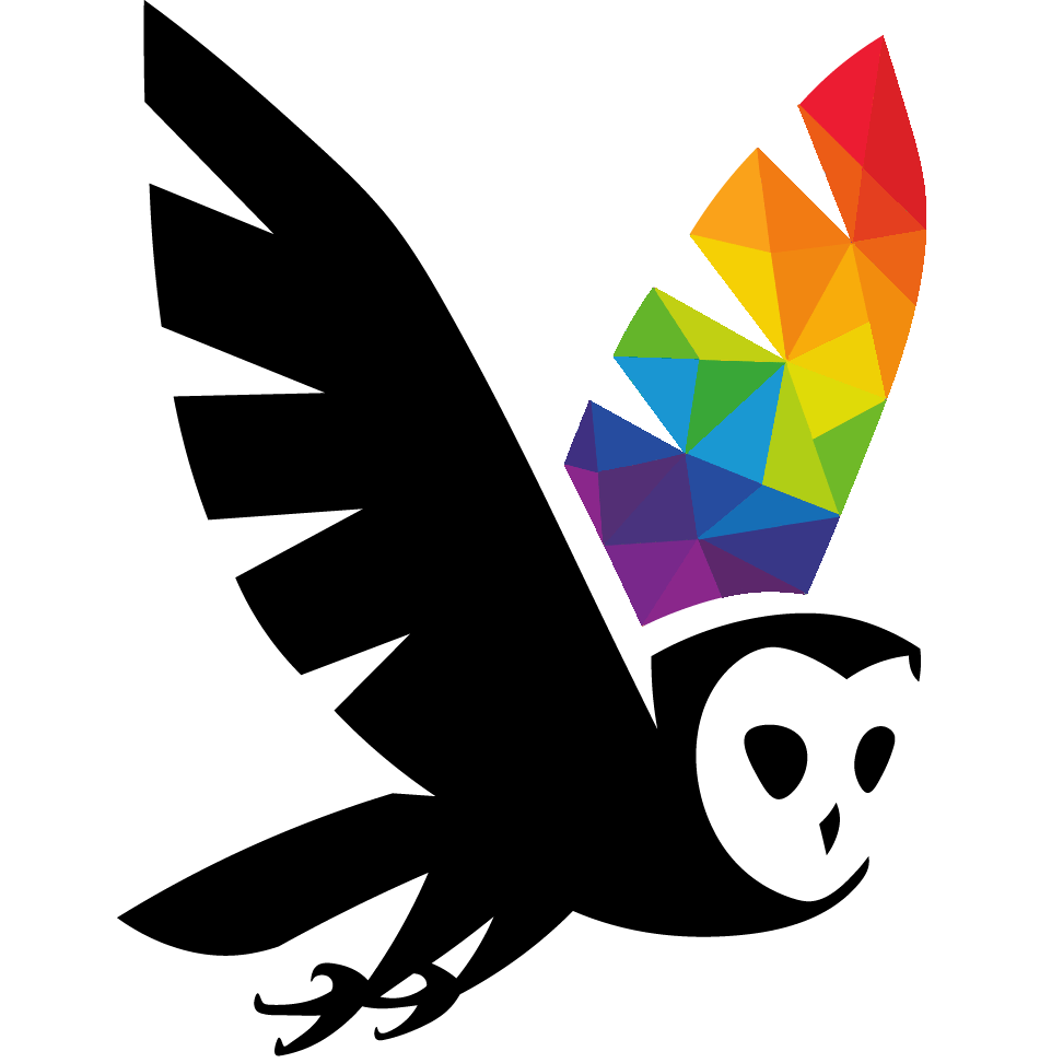 Image of owl with a rainbow colored wing